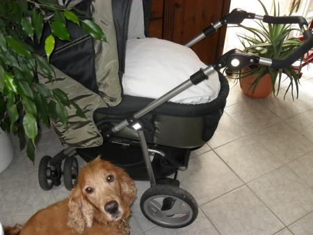 Bild zu 