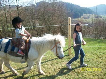 Bild zu 