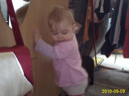 Bild zu 