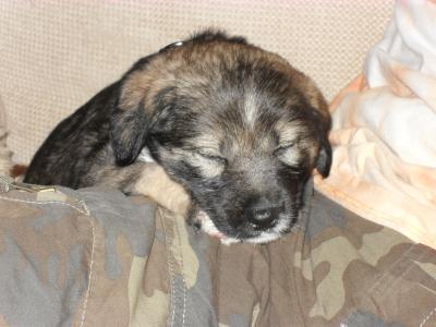 Bild zu Neue Bilder von Maggy... - Forum für Dezember - Mamis