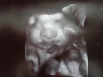 Bild zu Zurück vom FA Termin - Forum für Dezember - Mamis