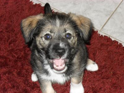 Bild zu @mama05und07 - Forum für Dezember - Mamis