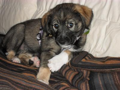 Bild zu @mama05und07 - Forum für Dezember - Mamis