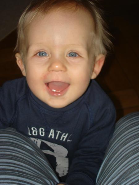 Bild zu