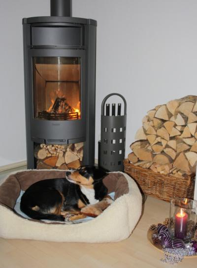 Bild zu Mal zeigen wollten, wie wir heute den 1. Advent verbracht haben. - Forum für Dezember - Mamis