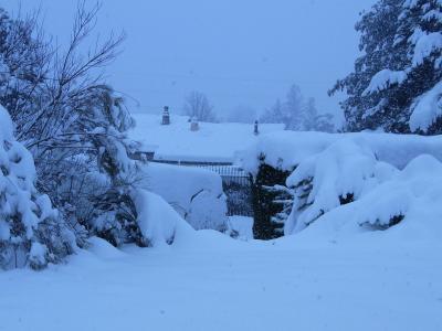 Bild zu Schnee Schnee Schnee - Forum für Dezember - Mamis