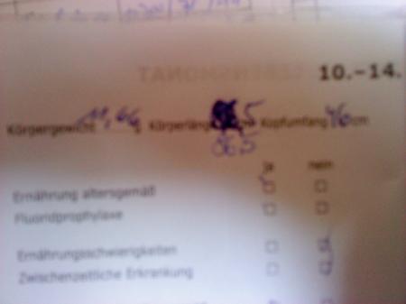 Bild zu 