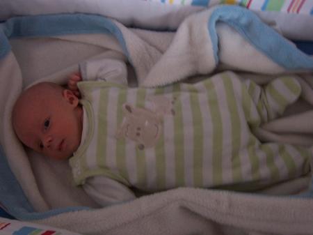 Bild zu 