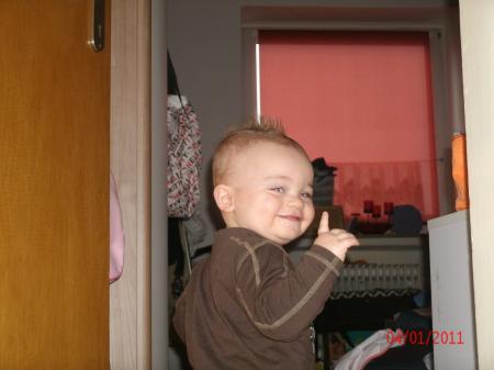 Bild zu
