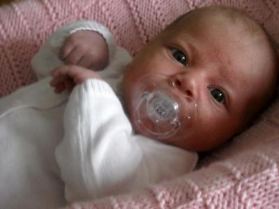 Bild zu Meine Mausi - Forum für Dezember - Mamis