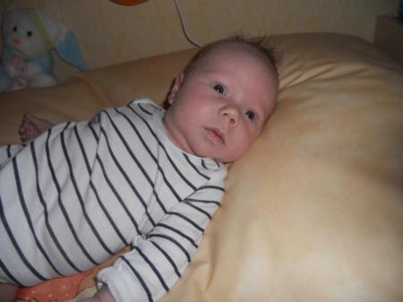 Bild zu 