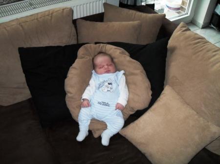 Bild zu