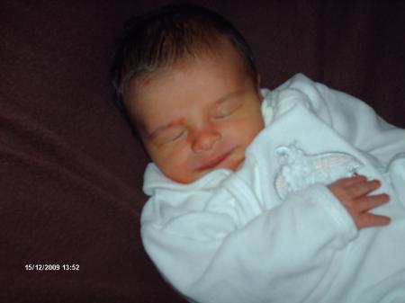 Bild zu