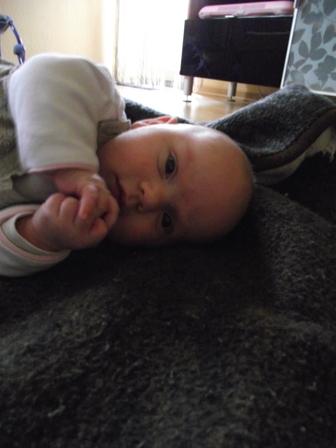 Bild zu meine kleine maus - Forum für Dezember - Mamis