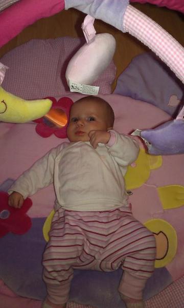 Bild zu 