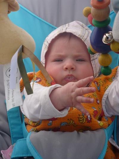 Bild zu An die Beikostmamas/Flaschenmamas - Forum für Dezember - Mamis