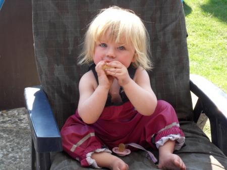 Bild zu 