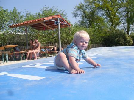 Bild zu 