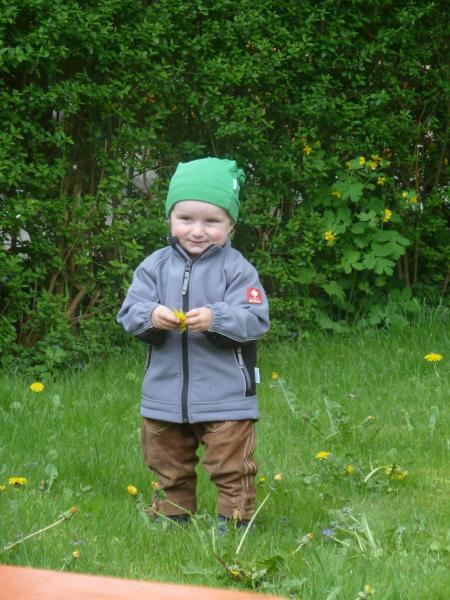 Bild zu 