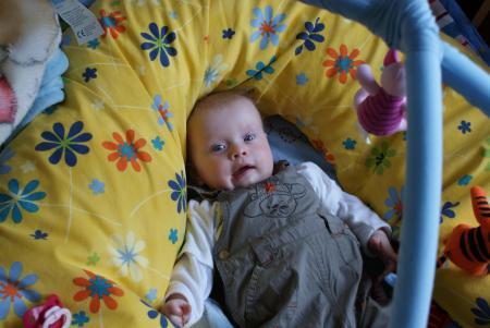 Bild zu