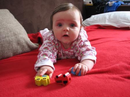 Bild zu 