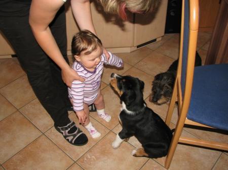 Bild zu 