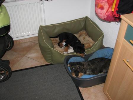 Bild zu 