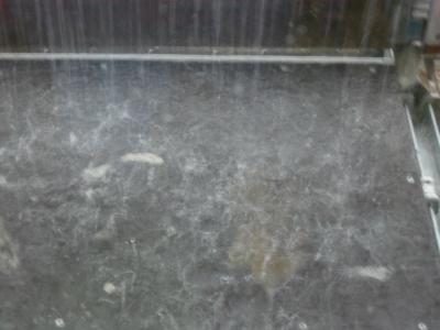 Bild zu Hilfeee, schreckliches Unwetter!! - Forum für Dezember - Mamis