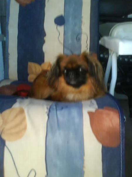 Bild zu 