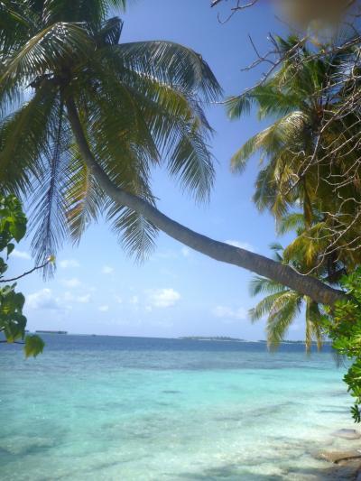 Bild zu Zurück aus dem Paradies - Forum für Dezember - Mamis