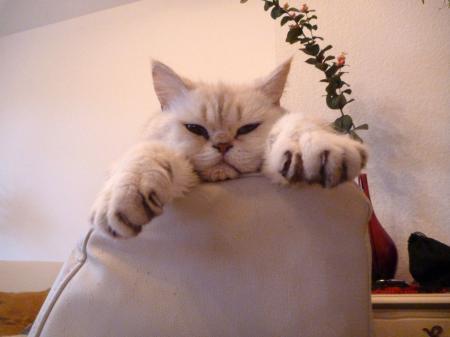Bild zu 
