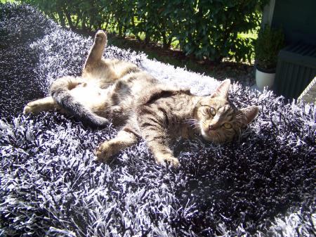 Bild zu 