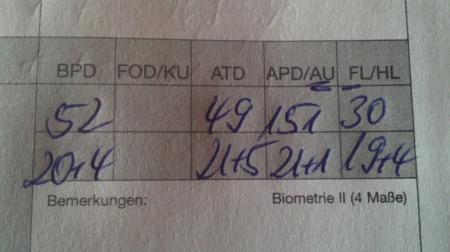 Bild zu 