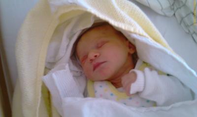 Bild zu Falls jemand schauen mag.. - Forum für Dezember - Mamis