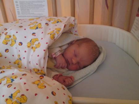 Bild zu