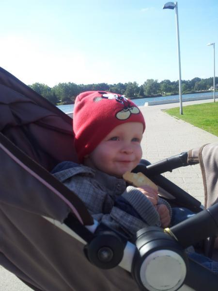 Bild zu 