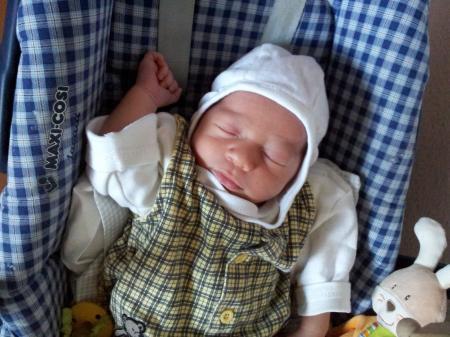 Bild zu 
