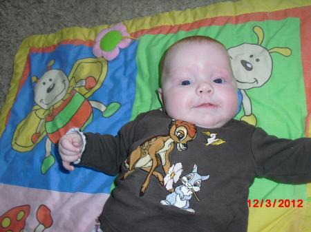 Bild zu