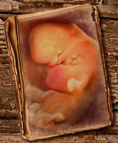 Bild zu so sehen unsere baby grad aus.,... - Forum für Dezember - Mamis