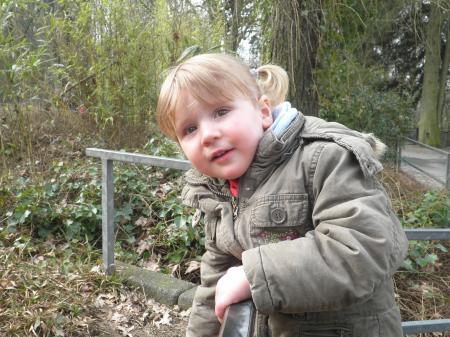 Bild zu 