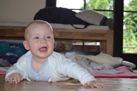 Bild zu 