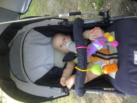 Bild zu