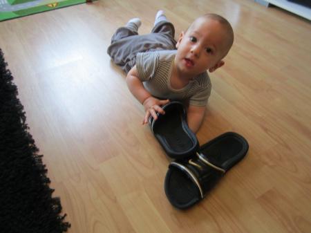Bild zu 
