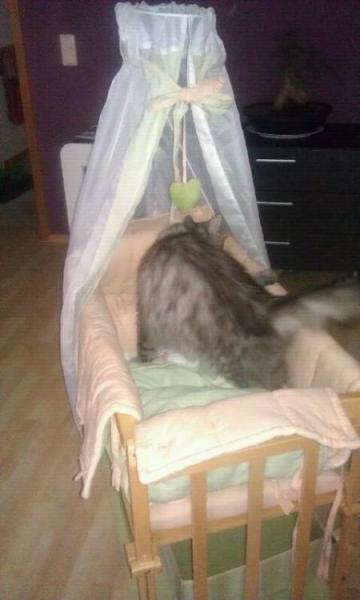 Bild zu 
