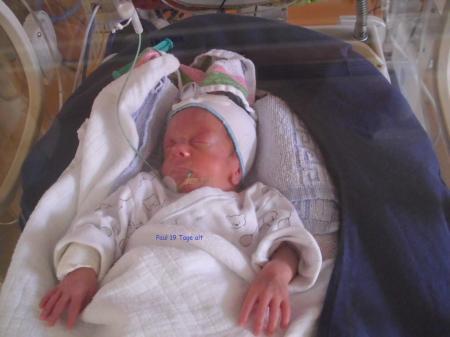 Bild zu 