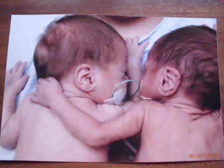 Bild zu