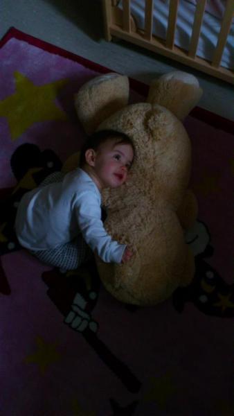Bild zu
