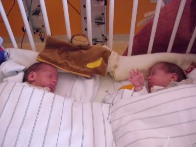 Bild zu Paul musste operiert werden :-( - Forum für Dezember - Mamis