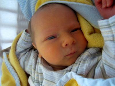 Bild zu Geburtsbericht - Forum für Dezember - Mamis