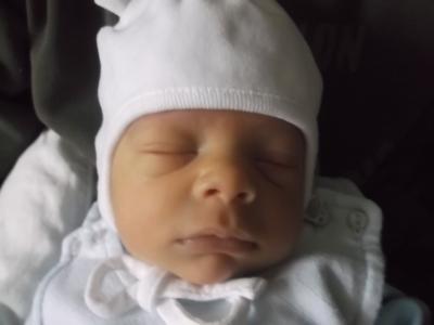Bild zu leo - Forum für Dezember - Mamis